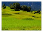 Windows...xp?