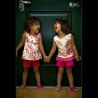 The twin