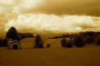 Il giorno di ferragosto sono andato a fare una grigliata e un p di foto. Ho fatto 3 esposizioni di questo scatto e ho provato l'hdr per poi virare in sepia.
Cosa vi sembra?