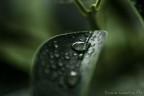 Esperimenti Macro