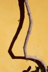 s.t.