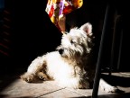 intimit domestica#4