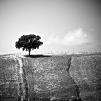 un posto dove sdraiarsi ed inizire a sognare