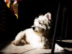 intimit domestica#6