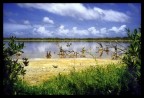 Cozumel