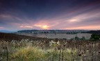 Colline Osimane..