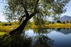 Lago di Lod