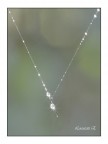 jewel
