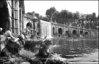 Nel parco reale 2