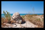 bagnara