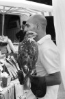 Naso....aquilino!?
