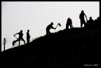 India1