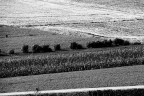 Campagne con ciclista