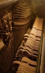 Into the music