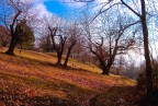 Un casetta sperduta nel bosco