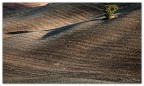...terra arata....