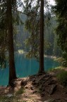 Particolare del lago di Carezza