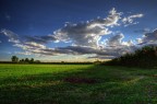 Pace in hdr