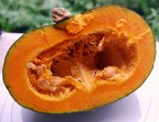 La zucca