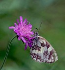 verso l'autunno verso l'autunno