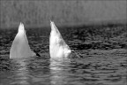 lago d'orta,settembre 2010