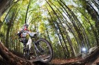 DH Melette 2010