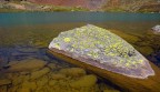 Scattata a circa 2.400 mt sopra il rif. Rorigoni nel parco naturale dello Stelvio.