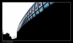 City Worm