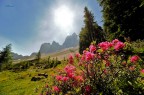 Controluce sulle Odle, val di Funes, Altoadige.