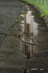 riflessi in Piazza dei Miracoli