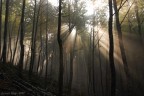 Raggi di sole