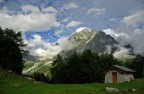 Punta Adami