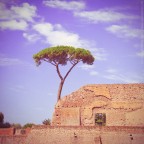 Vintage Rome