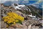 [REPORT] Caccia alle fioriture d'lata quota