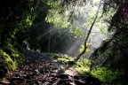 Piove luce