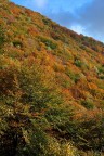 Autunno