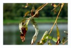 Autunno