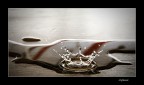 water crown