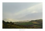 Le mie Marche
