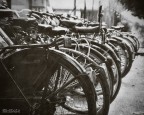 biciclette