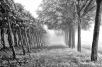 atmosfere padane