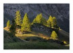 Settembre