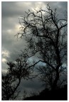 The Grip of Winter