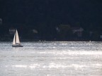sul mare luccica .....