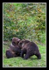 Giochi tra piccoli