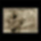 Il quadro