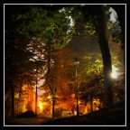 Sera d'autunno Sera d'autunno