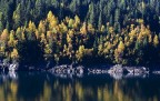 specchi d'autunno