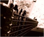 Ibanez
TZ5
C&c