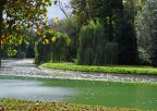 Parco del castello di Racconigi, particolare